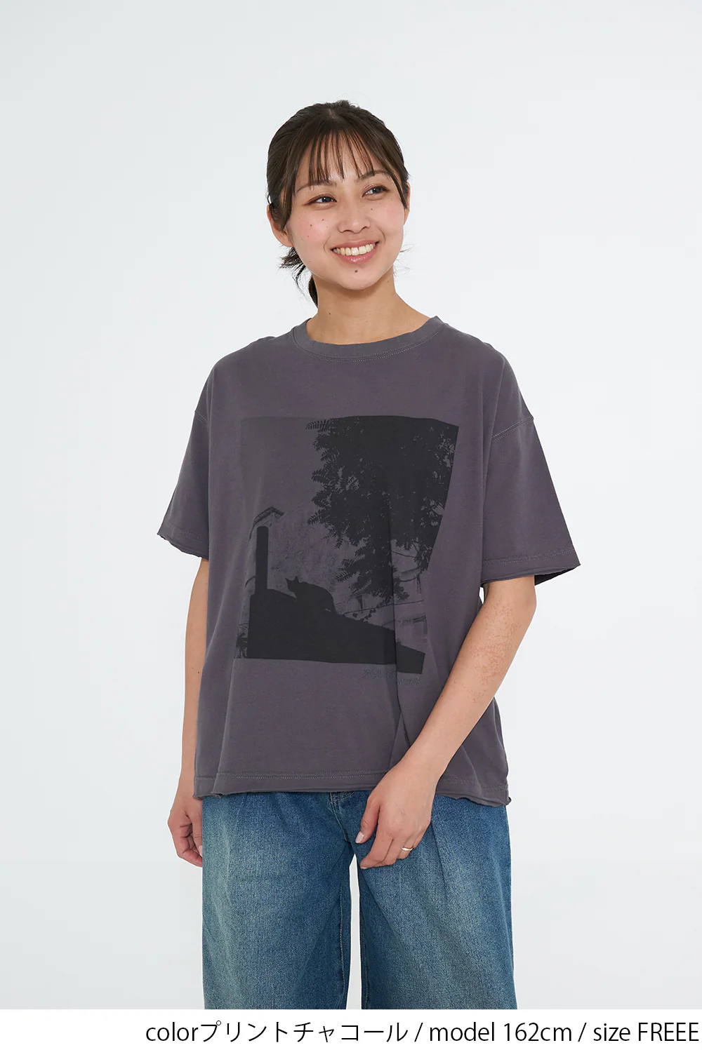 ネコフォトT - Image 10