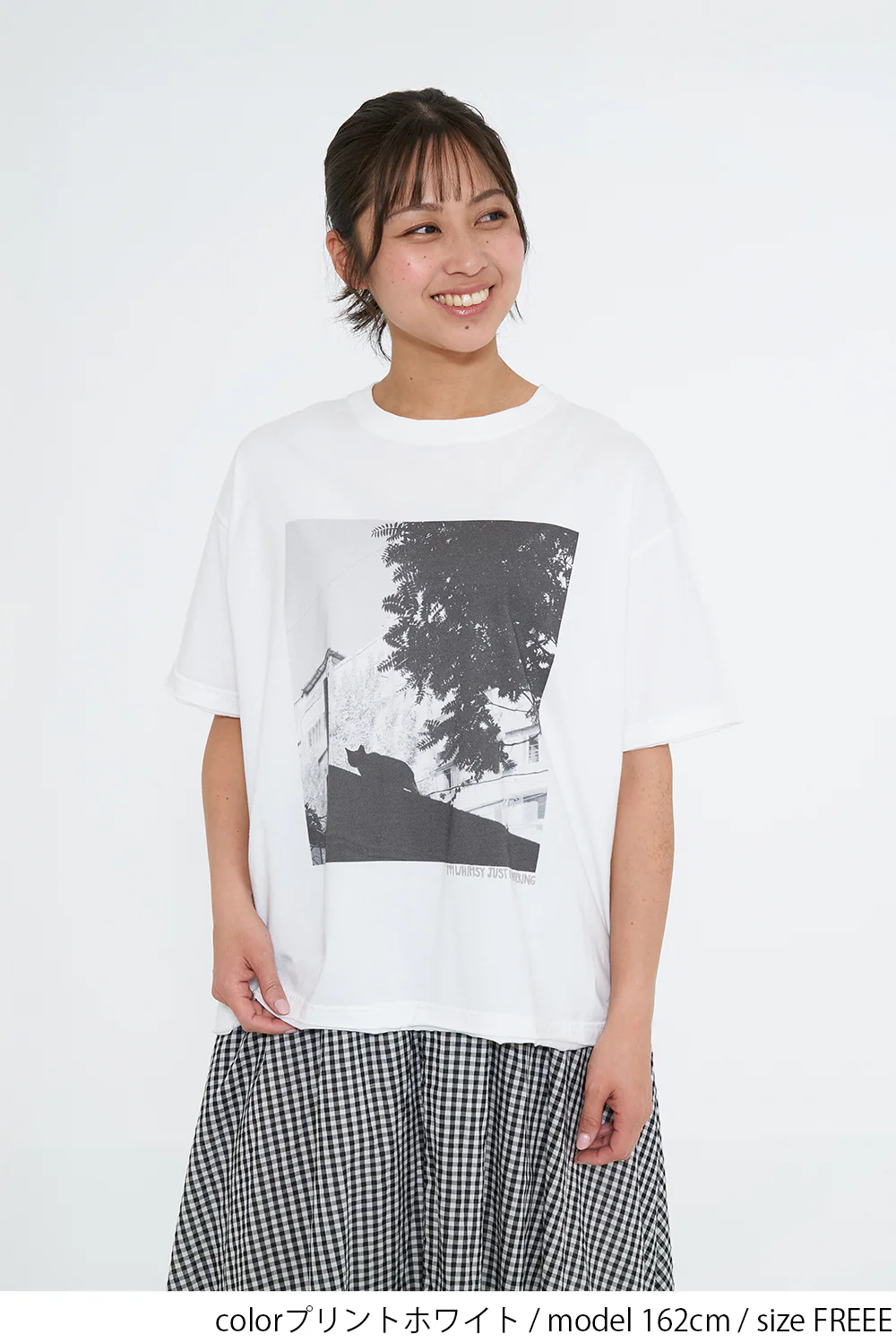 ネコフォトT - Image 6